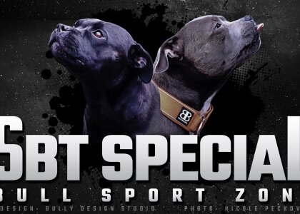 SBT Special Bull sport zone 7.10.2023